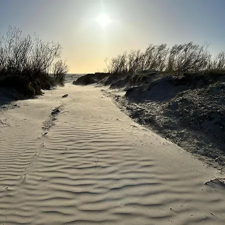 White Sands Modern شقة